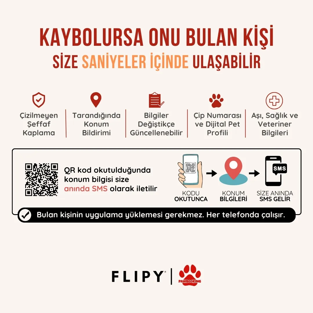 FLİPY QR KODLU KEDİ BOYUN TASMASI*5